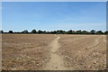 Footpath through the stubble in OX26 6HH