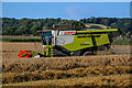 Orchard Portman : Combine Harvester in TA3 5AX