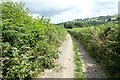 Offa's Dyke Path at Dolley Green in LD8 2EE