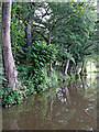 Canalside woodland south-east of Denford in Staffordshire in ST9 9QG