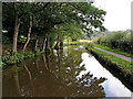 Caldon Canal approaching Denford in Staffordshire in ST9 9QG