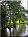Caldon Canal near Denford in Staffordshire in ST9 9QG