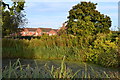 Pond beside Coppenhall Lane in CW2 8TQ