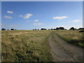 Track to Rose Cottage, Castlemorton Common in WR13 6LE