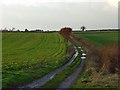 Track in farmland, Crowmarsh in OX10 6PS