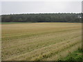 Stubble field in DD8 1TA