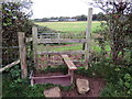 Sticil ger Ffarm Coedcanlas / Stile near Coedcanlas Farm in SA68 0PY