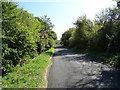 Widnell Lane towards Piddington in Piddington