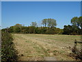 Field and woodland, Calvert in MK18 2FL