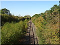 Railway towards Milton Keynes in MK18 2FL