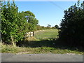 Field entrance off Hogshaw Road in MK18 3NL
