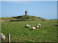Fields and old Dovecot at Craigiefold in AB43 6HH