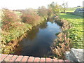 River Skerne at Ketton Lodge in DL1 3NB