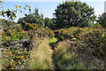 Path on Gentleshaw Common in WS15 4NQ