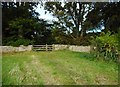 The gate into Chapel Wood in KY10 2RD