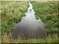 Downstream view off Westruther Mains bridge in TD3 6NL