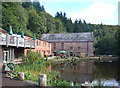 Mill and Pond, Dean Heritage Centre in GL14 2UG