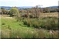 A boggy corner at Blairglas in G83 8RQ