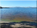The shore of Loch Lomond in G83 8NJ