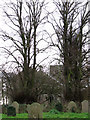 St Margaret's Church - view across churchyard in Cantley, Limpenhoe and Southwood