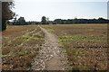 Harvested field near Pipe Green in WS13 8AL