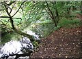 Path along the River Tas in Newton Flotman