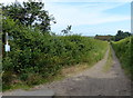 Footpath across the Gedgrave Marshes to the River Ore in Gedgrave