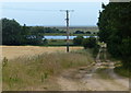 Track across the Gedgrave Marshes in Gedgrave