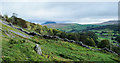 Ruined wall near Giggleswick Quarry in BD24 9LE