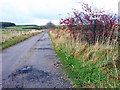 Track to Braeriach, North Eddieston and Easterhill in AB32 6XA