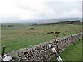 View Towards Old Folds Farm and Upper Teesdale in DL12 0XS
