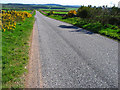 The road from Drum to Garlogie, looking south in AB32 6XA