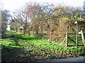 View along footpath from Durlock Road in CT3 2HU