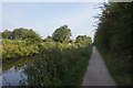 Coventry Canal towards bridge #6 in CV6 7HP