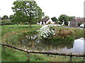 Pond and village Green, Bishop's Norton in GL2 9LN