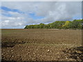 Field near Bacon's house Farm in MK18 4AT