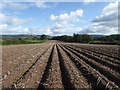 Ploughed field, Priors Halton Farm near Ludlow in SY8 2JN
