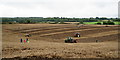 Surrey County Ploughing Match 2019 in GU5 9QW
