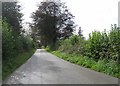 Country road in SA32 7NE