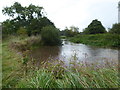 The River Arrow at Alcester in B49 6LH