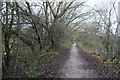 Winter path Attenborough in NG9 6DB
