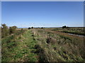 Footpath alongside Metheringham Delph in LN4 3AW