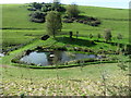 Pond near Crossbury in EX32 0TA