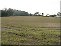 Barley stubble near Bonnyton in KY12 9HN