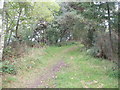 Woodland path on edge of Tornagrain in IV2 5PT