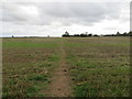 Field footpath post harvest in Stowe IX Churches