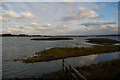 Hazlewood Marshes, from the Eric Hosking Hide in IP15 5PJ