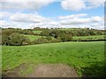 Fields, west of North Aller Farm in EX36 3RG