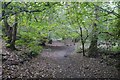 Path, Corstorphine Hill in EH12 6UR