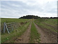 Track towards Atherstone Hill Farm in CV37 8NF